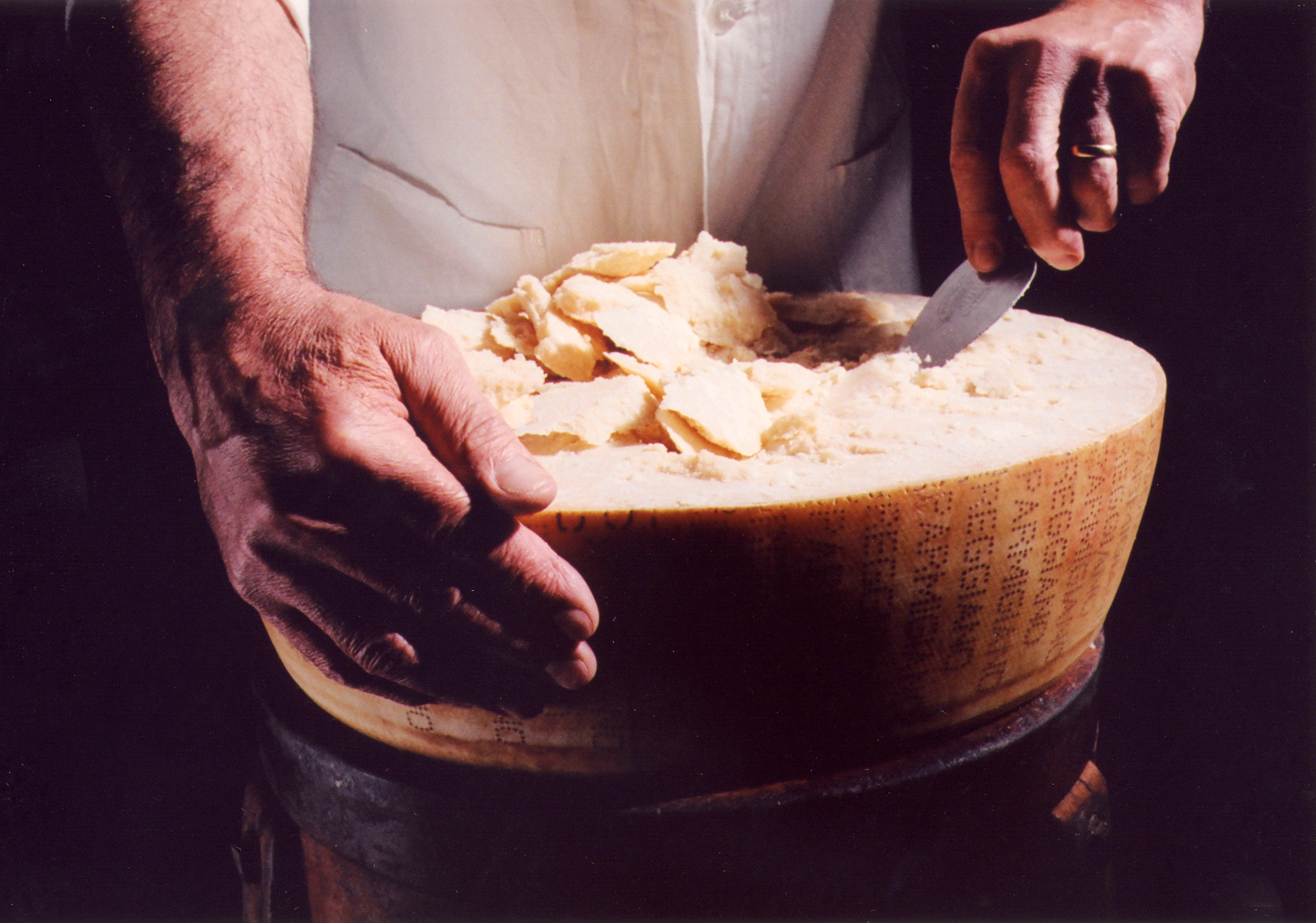 Parmesan - Parmigiano Reggiano Parmesan - Parmigiano Reggiano