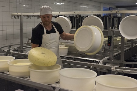Formaggio Terschellinger Formaggio Terschellinger