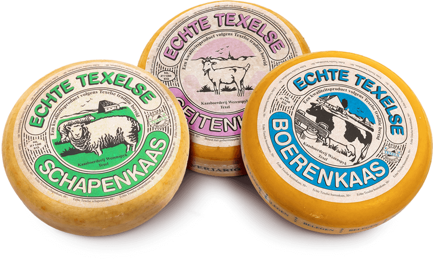 Texel formaggio di pecora e formaggio di capra