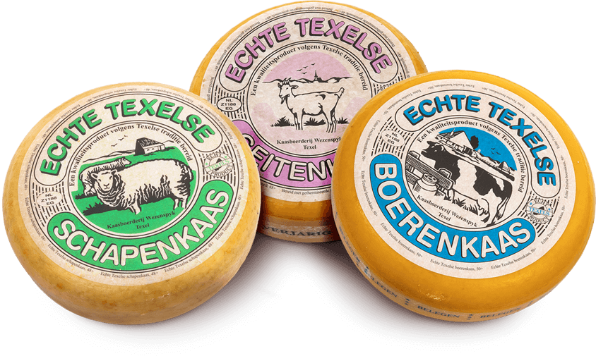 Texel formaggio di pecora e formaggio di capra Texel formaggio di pecora e formaggio di capra