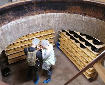 Bunker del Formaggio di Vlieland Bunker del Formaggio di Vlieland