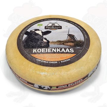 Formaggio biologico poco stagionato di Gouda | formaggio intero 5,4 chilo