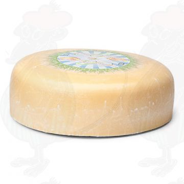 Formaggio Biologico Giovane Stagionato | Qualità aggiuntiva | Formaggio intero 7,5 chili Formaggio Biologico Giovane Stagionato | Qualità aggiuntiva | Formaggio intero 7,5 chili