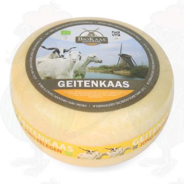 Formaggio di capra biologico | Qualità aggiuntiva | Formaggio intero 5,4 chili