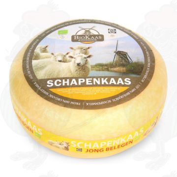 Formaggio di pecora biologico | Qualità aggiuntiva | Formaggio intero 5,4 chili