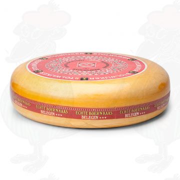 Formaggio contadino stagionato - Stolwijker Kaas | Qualità aggiuntiva | Formaggio intero 16 chili