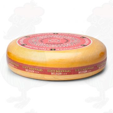 Formaggio contadino stagionato - Stolwijker Kaas | Qualità aggiuntiva | Formaggio intero 16 chili