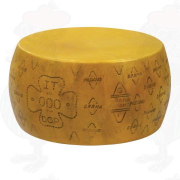Cheese Dummy Grana Padano PDO