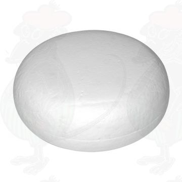 Cheese Dummy Gouda (model) Goats Cheese - 4kg