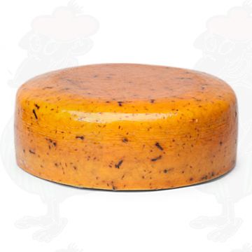 Frisone Nagelkaas Vecchio | Qualità aggiuntiva | Formaggio intero 10 chili