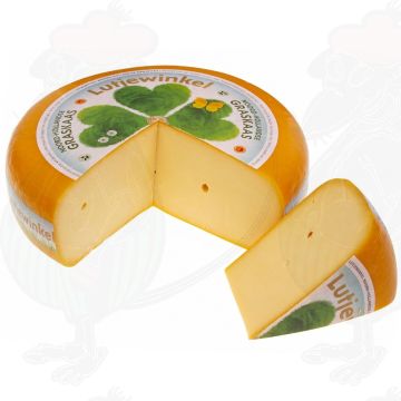 Formaggio d'erba dell'Olanda Settentrionale
