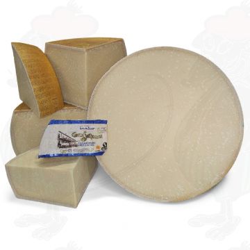Parmigiano Reggiano 24 mesi | Qualità Premium | 875 grammi
