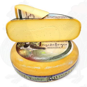Formaggio Terschellinger | Forza del vento 6