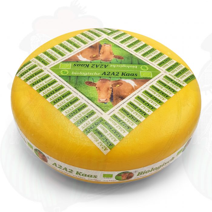 A2A2 Giovane Stagionato - Formaggio A2 Biologico | Formaggio intero 13 chili main product photo