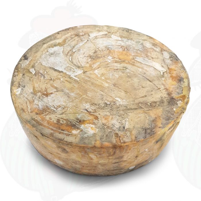 Rosso leicestershire invecchiato | Formaggio intero 3,6 chili main product photo