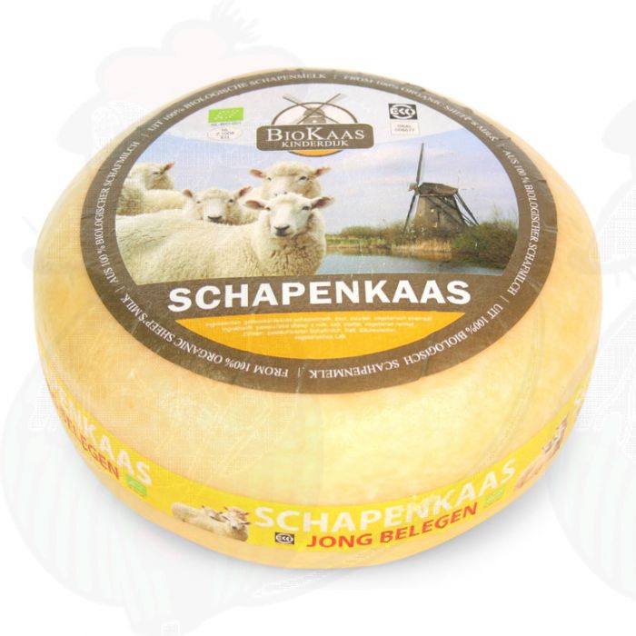 Formaggio di pecora biologico | Qualità aggiuntiva | Formaggio intero 5,4 chili main product photo