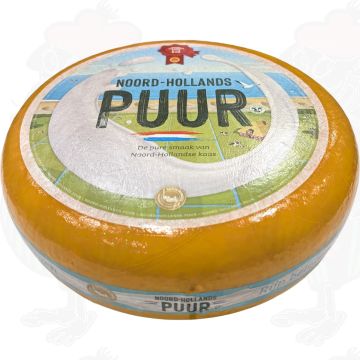 Gouda dell'Olanda settentrionale stagionato con sigillo rosso | Formaggio intero 13 chili