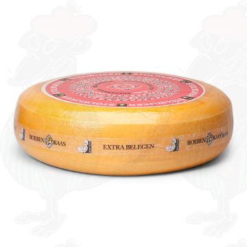 Formaggio contadino extra stagionato - Formaggio Stolwijk | Qualità aggiuntiva | Formaggio intero 16 chili