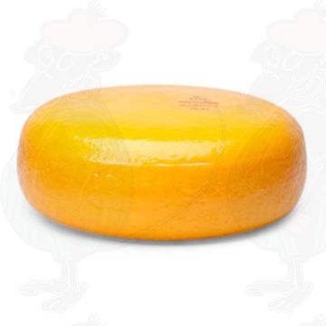 Forma Intera Gouda Giovane (4 kg)