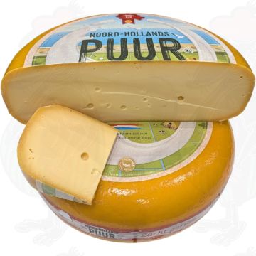 North Holland Gouda giovane stagionato