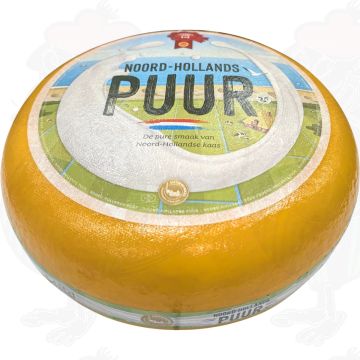Giovane Gouda dell'Olanda Settentrionale con il Sigillo Rosso | Formaggio intero 13 chili