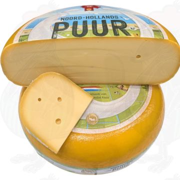 Gouda dell'Olanda Settentrionale Young