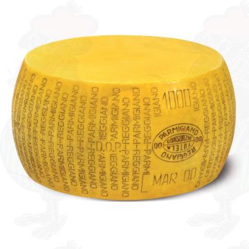 Cheese Dummy Parmesan Reggiano