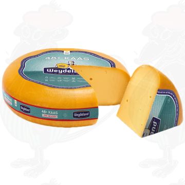 Weydeland Meno Sale