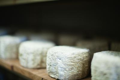 Formaggio di capra: varietà, sapore e usi in cucina